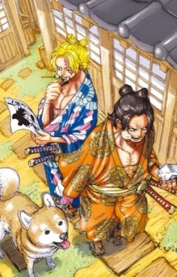 『ALS|OnePiece』Đừng khóc nữa!