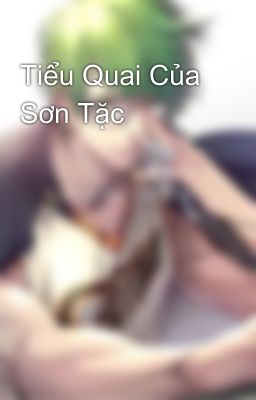 Tiểu Quai Của Sơn Tặc